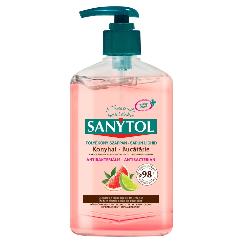 Sanytol Antibacterial Liquid Soap for Kitchen 250 ml