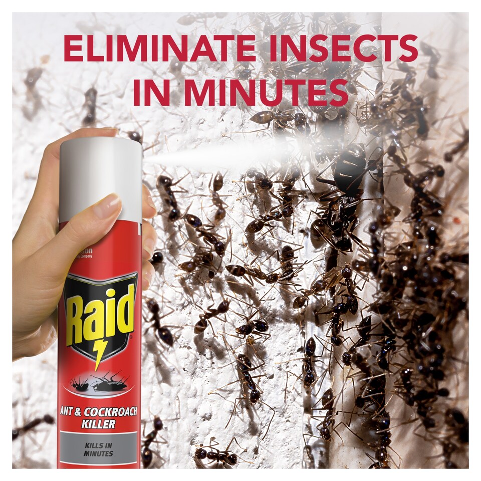 image 1 of Raid Ant & Cockroach Insect Killer Aerosol Spray 300ml