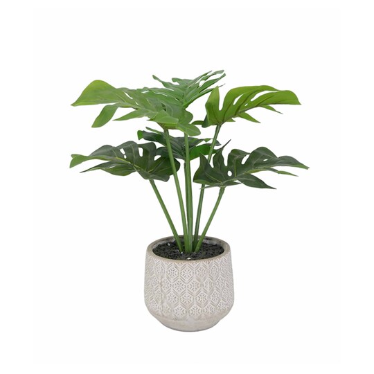 Artifloral Cheeseplant In Cement Pot Tesco Groceries