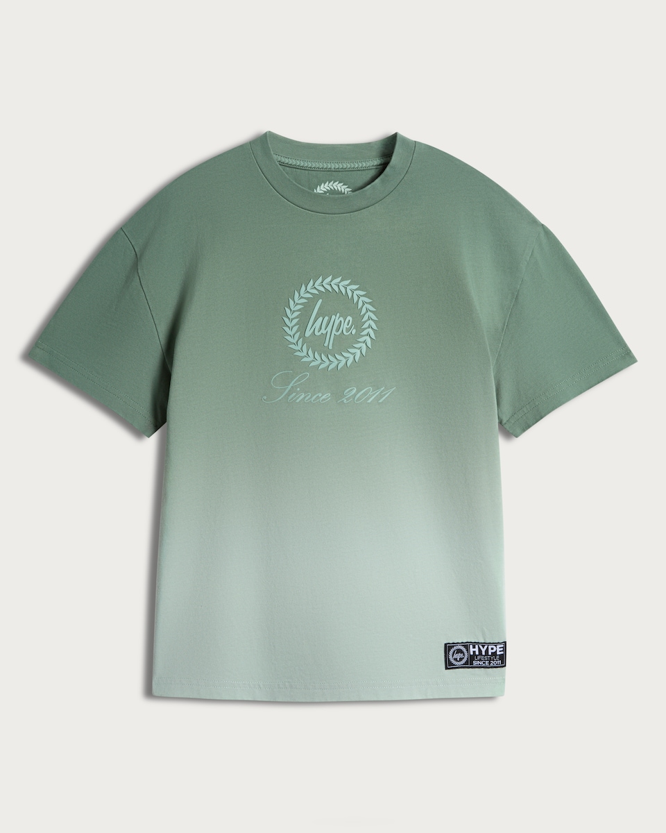 image 1 of Hype Pure Cotton Ombre T-Shirt in Green