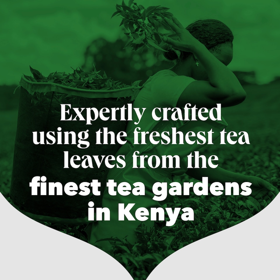 image 1 of PG Tips Decaf Black Tea 70 Tea Bags 203g