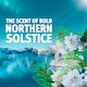 image 4 of Bold All in One Washing Liquid Pods Northern Solstice 33 washes 646.8g