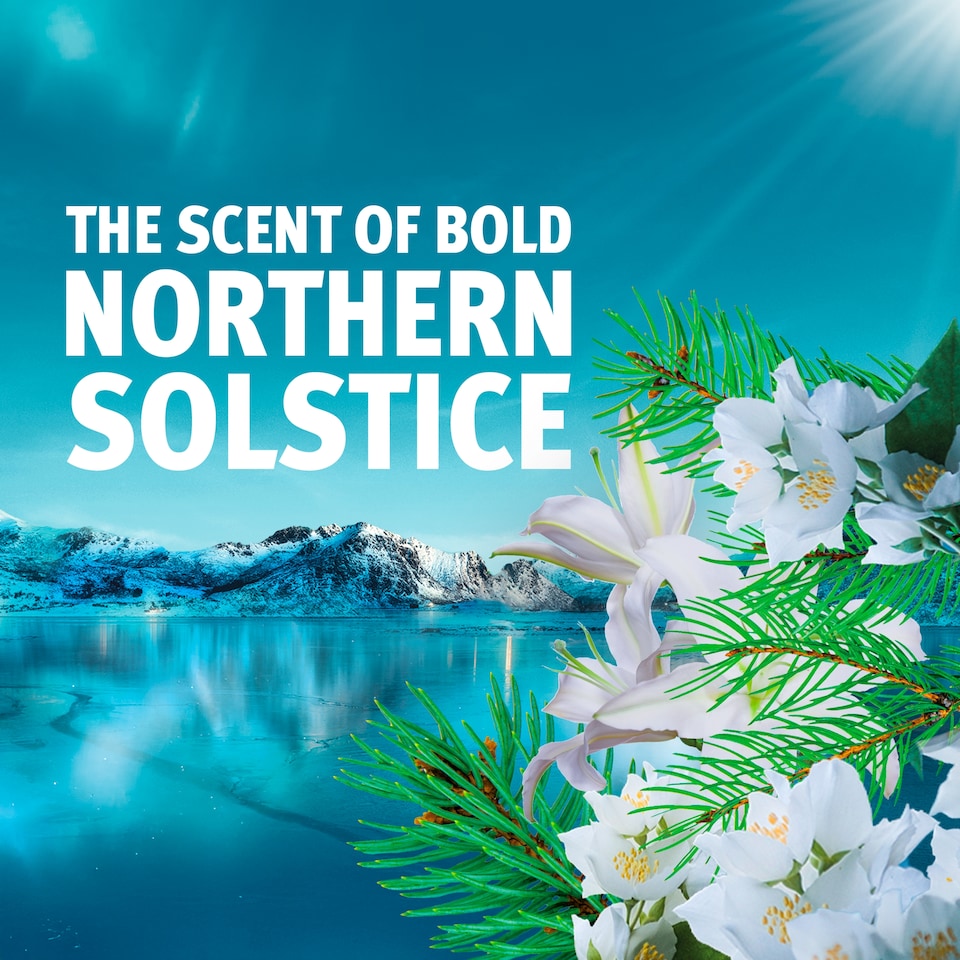 image 1 of Bold All in One Washing Liquid Pods Northern Solstice 33 washes 646.8g