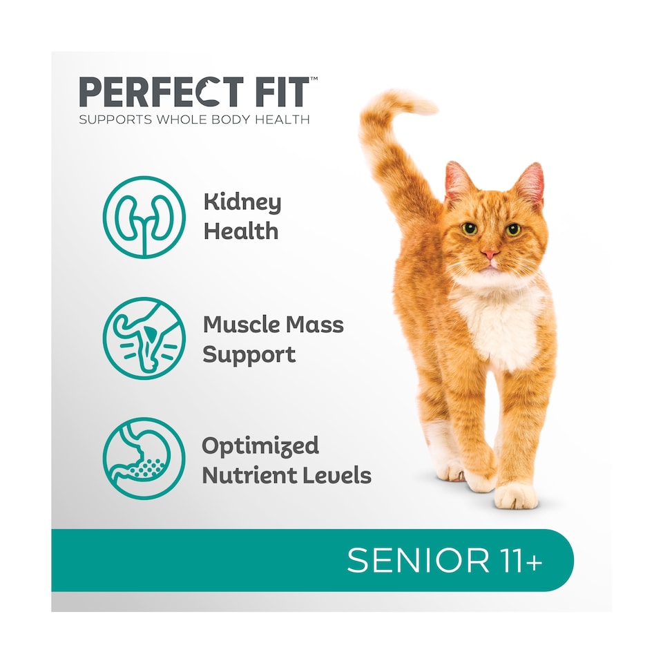 image 1 of Perfect Fit Senior 11+ Dry Cat Food - Chicken 750g