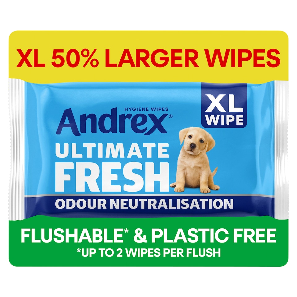 Andrex Ultimate Fresh XL Hygiene Wipes Odour Control Moist Toilet Tissue Single Pack