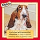 image 7 of BONIO Original Dog Biscuits 650g