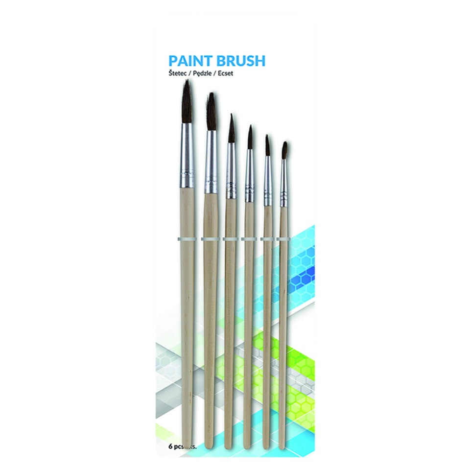 Paint Brush 6 pcs