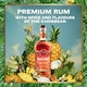 image 3 of Bacardi Caribbean Spiced Rum 700Ml