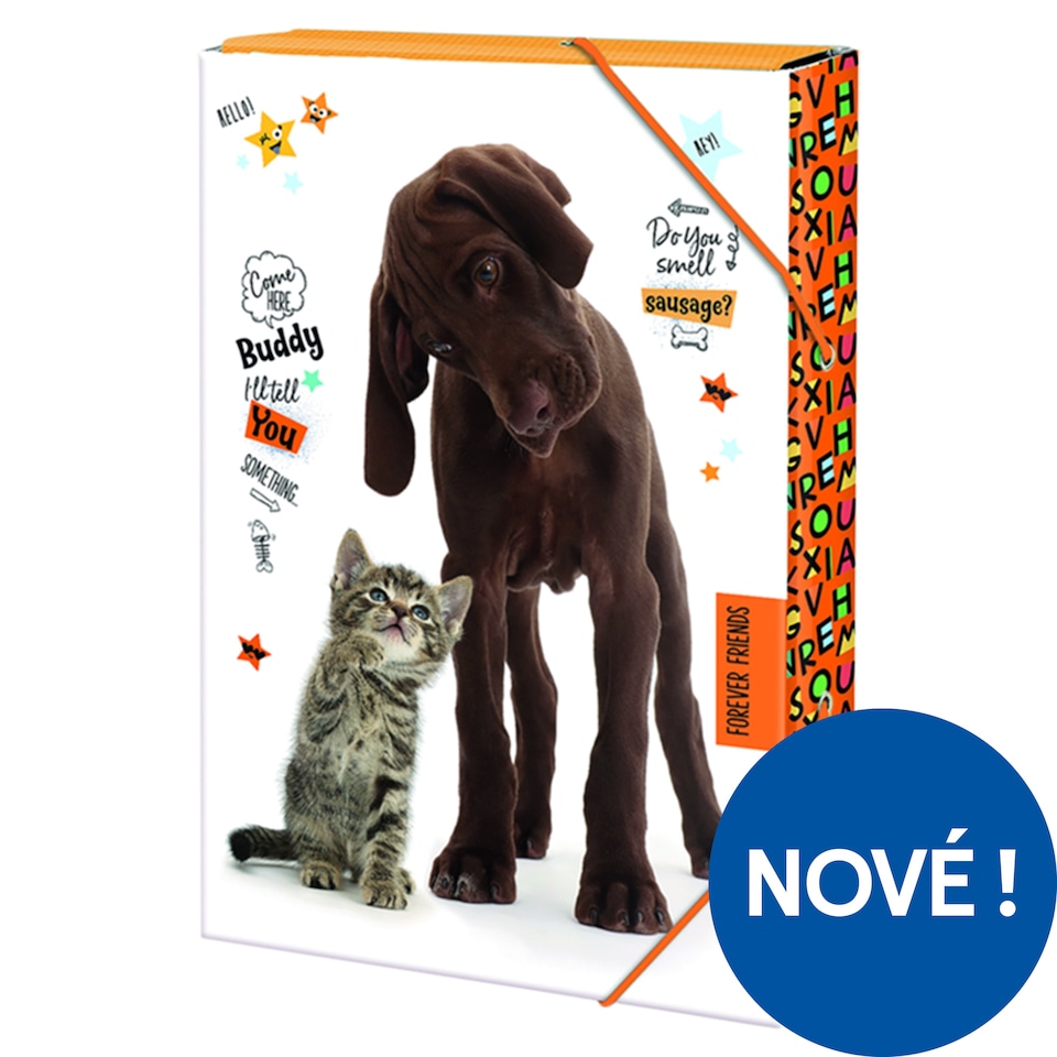 Forever Friends School Folder A4