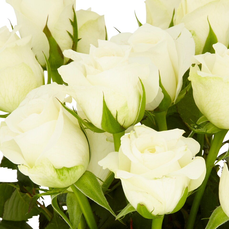 image 1 of Tesco White Roses Flowers Bouquet