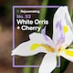 image 3 of INEOS Skin Science White Orris + Cherry Body Wash 300ml