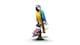 image 2 of LEGO Creator 31136 Exotic Parrot