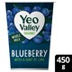 image 1 of Yeo Valley Blueberry Yogurt 450G