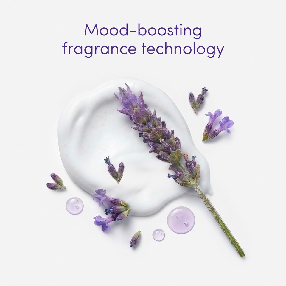 image 1 of Dove Body + Mind French Lavender & Oat Milk Mousse 200ml