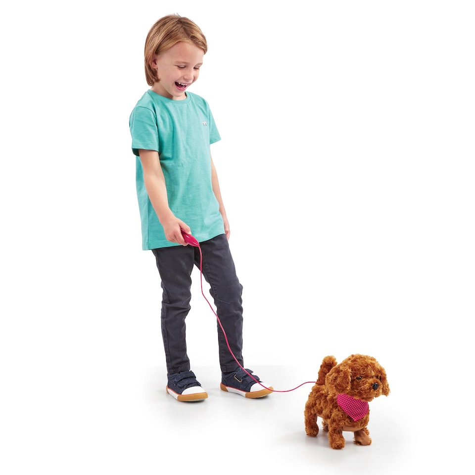 image 1 of Addo Pitter Patter Pets Walk Along Coockapoo