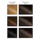 image 2 of Garnier Belle Color Permanent Hair Dye - Natural Dark Brown 4