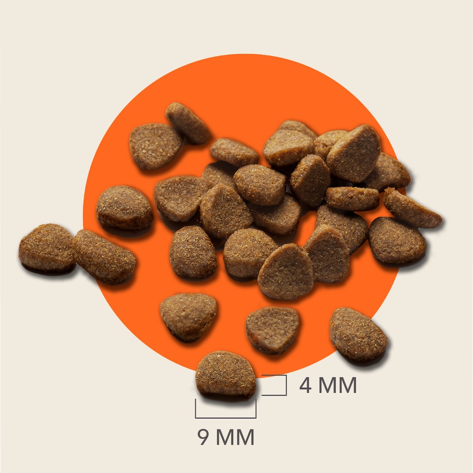 image 1 of IAMS Senior 11+ Dry Cat Food Chicken 800g