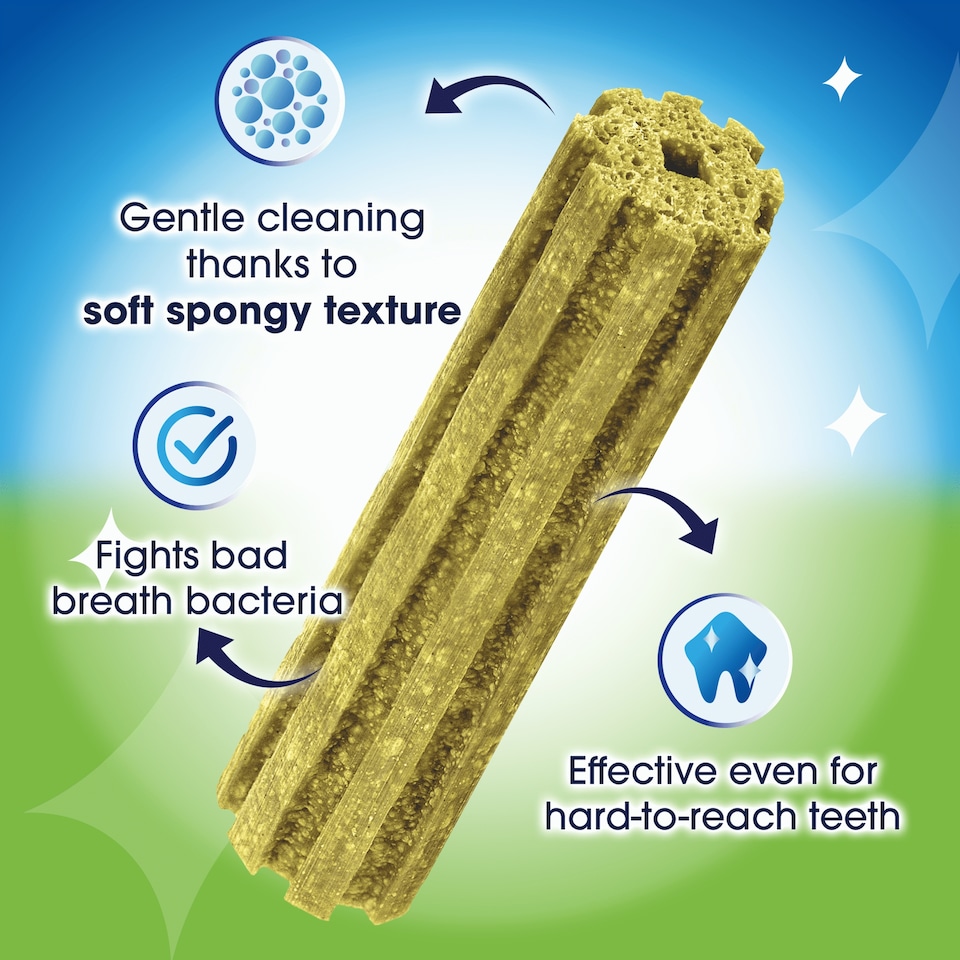 image 1 of DENTALIFE ActivFresh Large Dental Chicken Dog Chews 4 Sticks