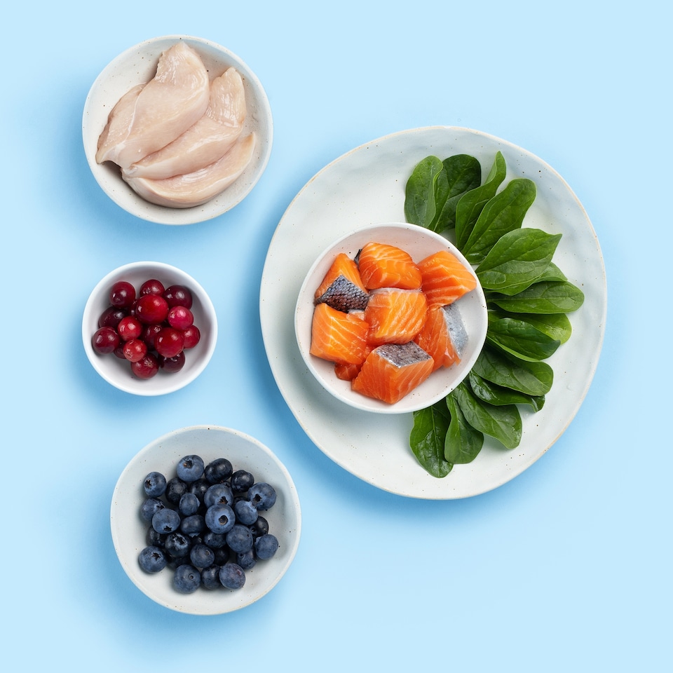 image 1 of Nood Cat Dinner Selection Chicken & Salmon In Gravy 8X85g