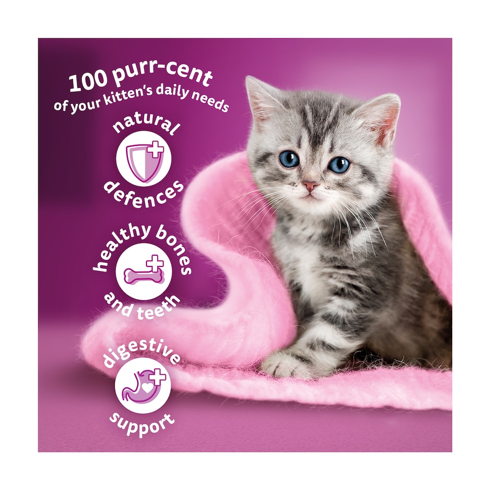 image 1 of Whiskas Kitten Dry Cat Food Biscuits Chicken 1.9Kg