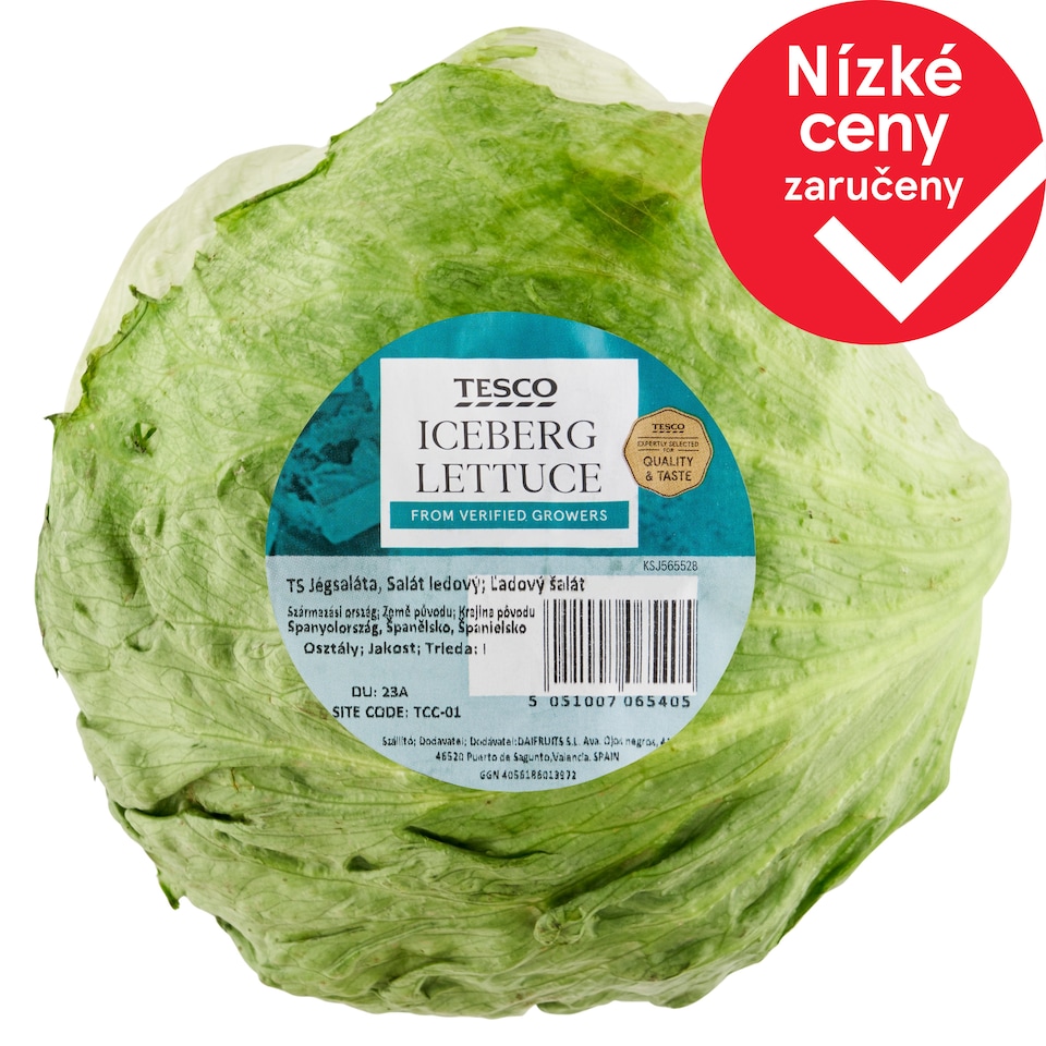 Tesco Salát ledový