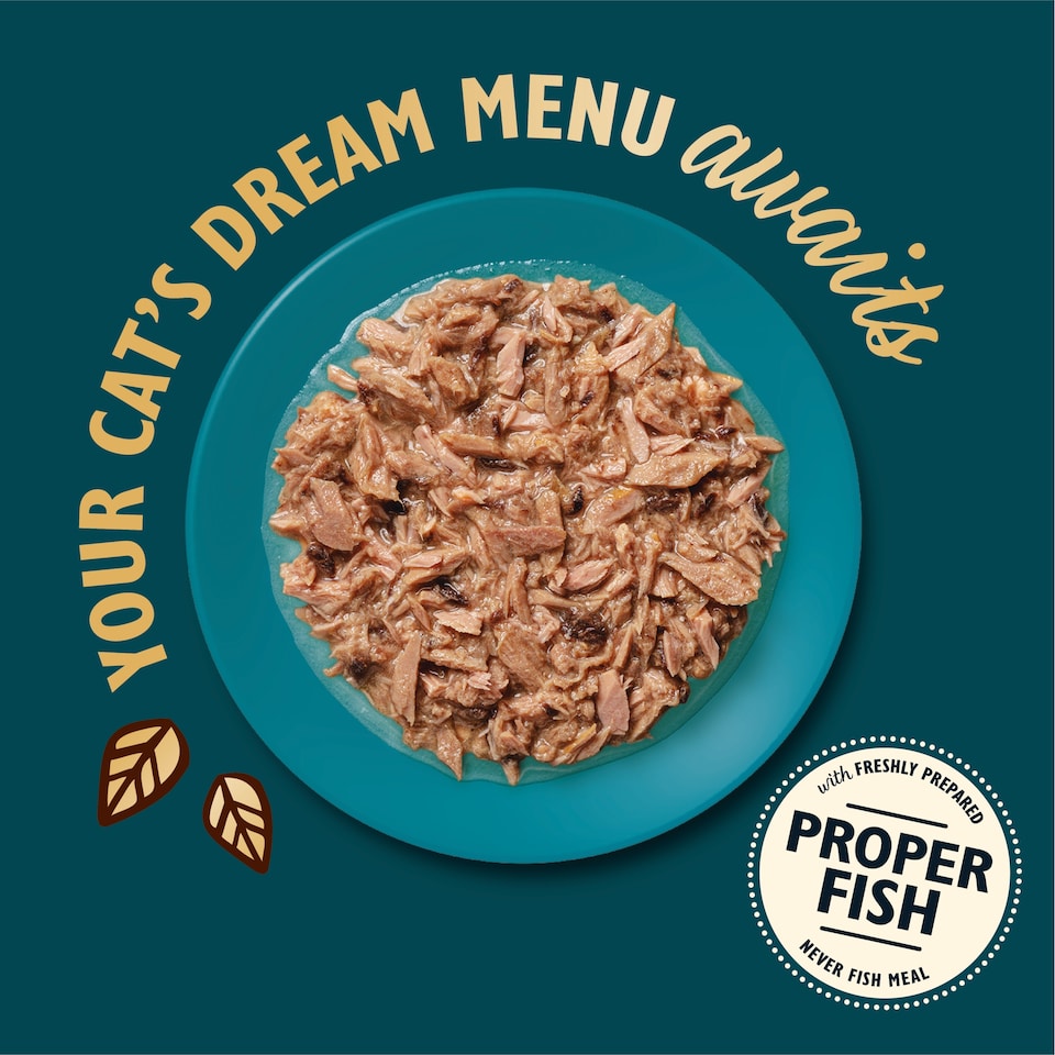 image 1 of Lily's Kitchen Cat Shredded Fillets Chicken in Broth 70g