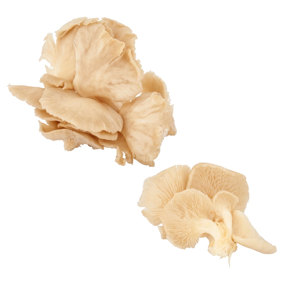image 1 of Tesco Finest Oyster Mushroom Cluster 150G