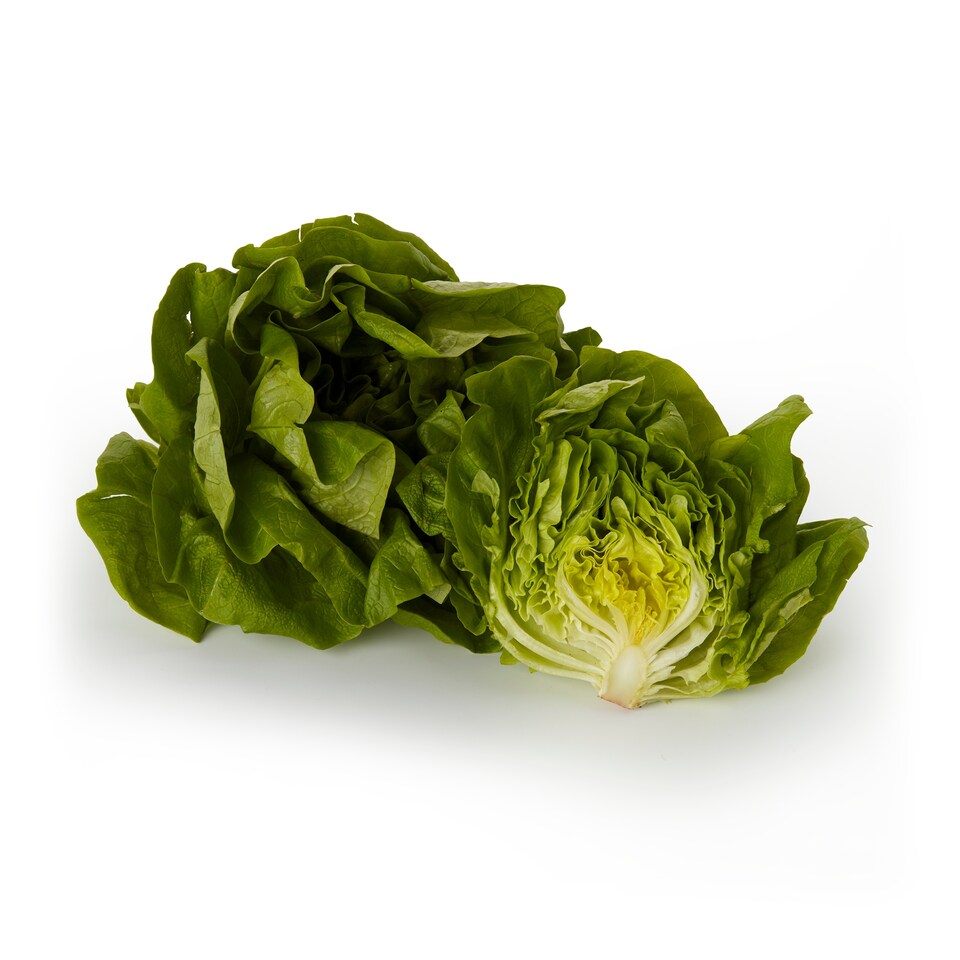 image 1 of Tesco Butterhead Lettuce