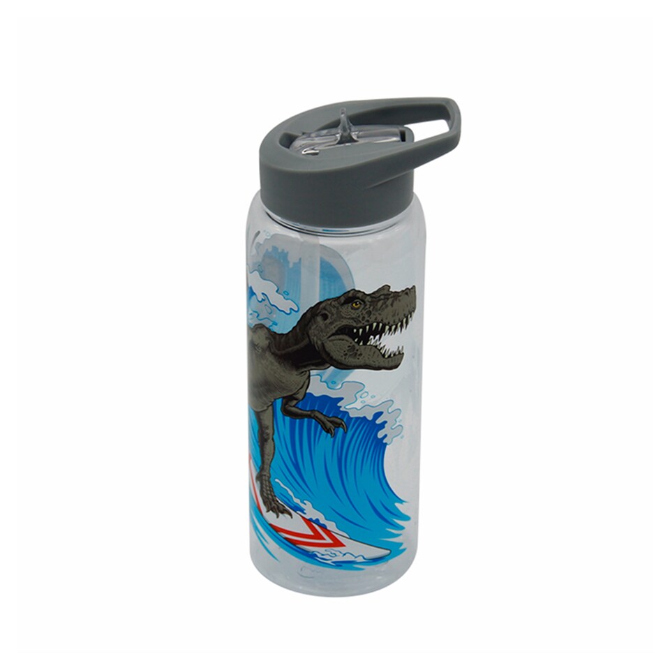 Tesco Dinosaur Bottle