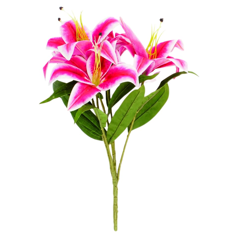 image 1 of Lily Flower