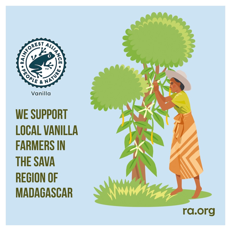 image 1 of Carte D'or Madagascan Vanilla Light Ice Cream Tub 900ml