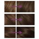 image 2 of Nice'n Easy No Ammonia Medium Ash Brown 77 H/Dye