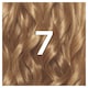 image 2 of Garnier Nutrisse Creme Permanent Hair Colour - 7 Dark Blonde