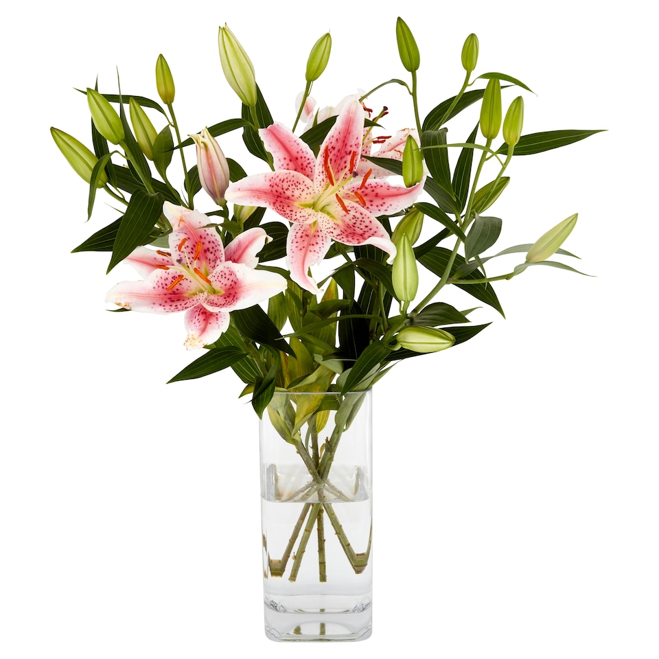 Tesco Oriental Lilies 4 Stems