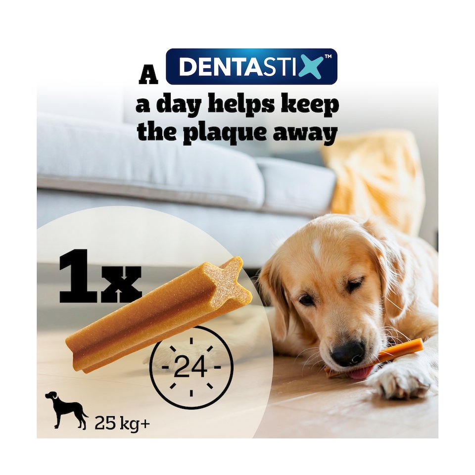 image 1 of Pedigree Dentastix Daily Large Dog Treats 42 Dental Sticks