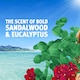 image 3 of Bold Sandalwood & Eucalyptus Gel 32 Washes 1.056L