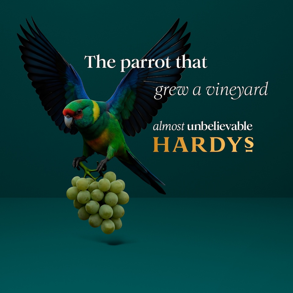 image 1 of Hardys VR Pinot Grigio White Wine 75cl