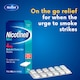 image 2 of Nicotinell Stop Smoking Aid 4mg Medicated Chewing Gum - Mint 96s