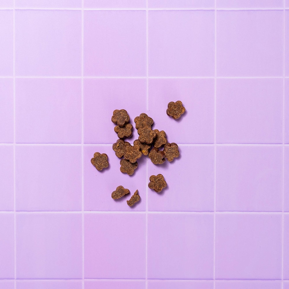 image 1 of Pooch and Mutt Calming Meaty Dog Treats Turkey and Hemp 120g