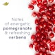 image 4 of Dove Women Go Fresh Pomegranate 72h Advanced Care Roll-On Antiperspirant Deodorant 50ml