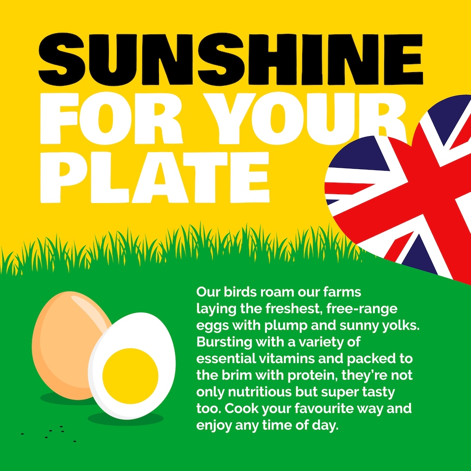 image 1 of Big & Free Large White Free Range Eggs 10 Pack