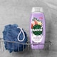 image 3 of Radox Lychee & Vanilla Feel Renewed Shower Gel Body Wash 450ml