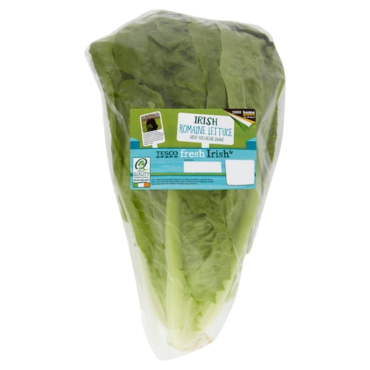 Romaine Lettuce Each Tesco Groceries