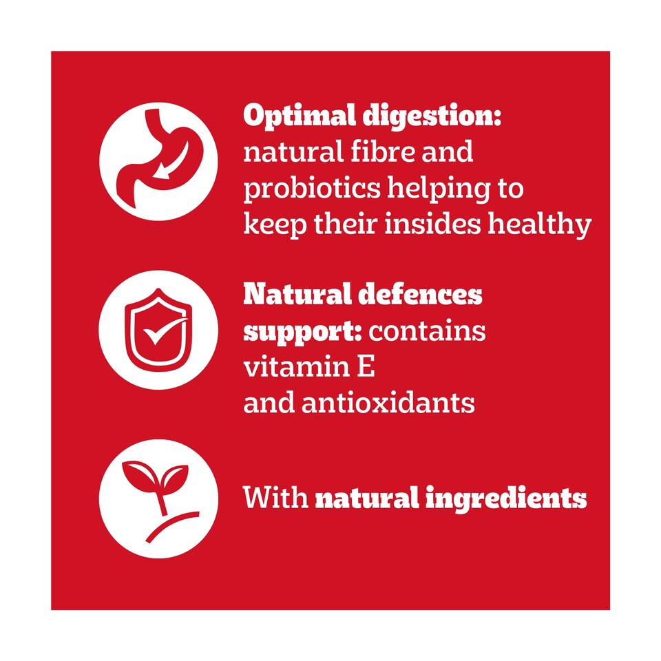 image 1 of PEDIGREE Senior Wet Dog Food Mixed Selection In Jelly 40 x 100g Pouch
