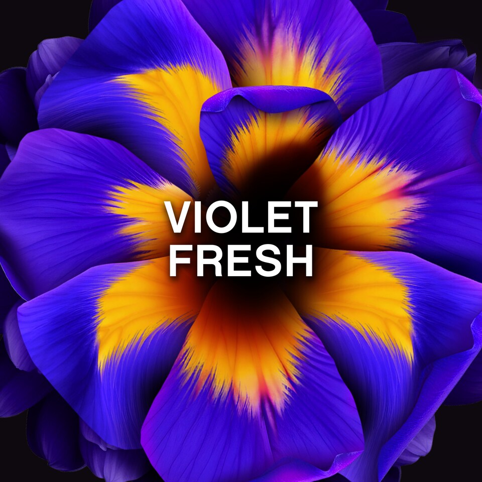 image 1 of Lenor Unstoppables In-Wash Scent Booster Violet Fresh 275g