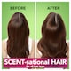 image 3 of Herbal Essences White Tea & Mint Shampoo 400Ml