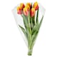 image 1 of Tesco Bouquet of Tulips 7 Stems