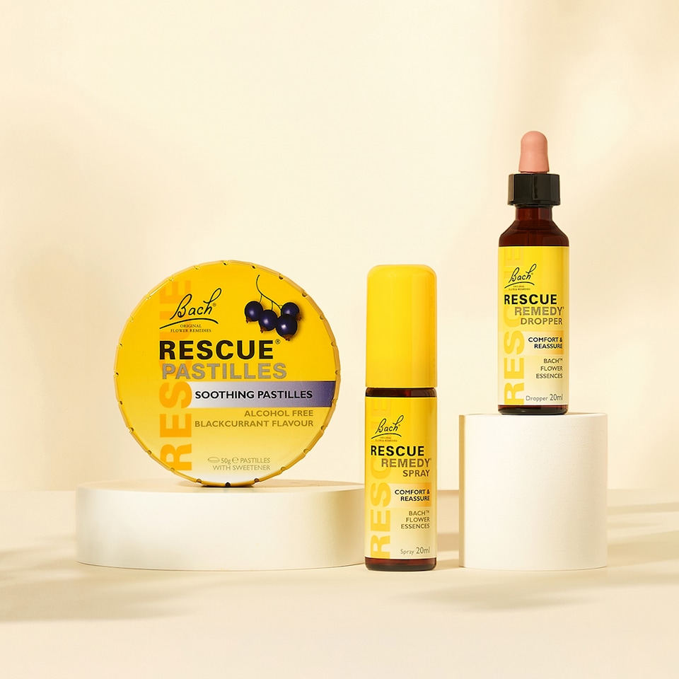 image 1 of Bach Rescue Soothing Blackcurrant Pastilles 50g