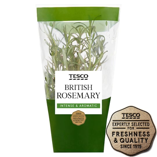 Tesco Medium Pot Rosemary Tesco Groceries