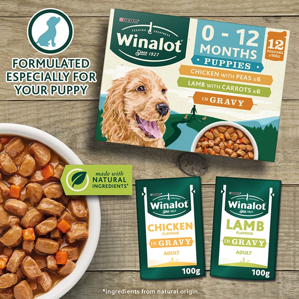 image 1 of Winalot Puppy Wet Dog Food Pouches In Gravy 12X100g